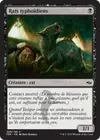 Product image for Rats typhoïdiens