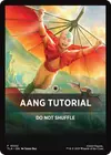 Product image for Aang Tutorial