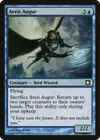 Product image for Aven Augur