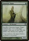 Product image for Llanowar Augur