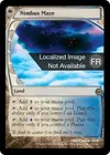Product image for Labyrinthe du halo