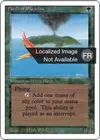 Product image for Birds of Paradise