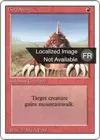 Product image for Burrowing