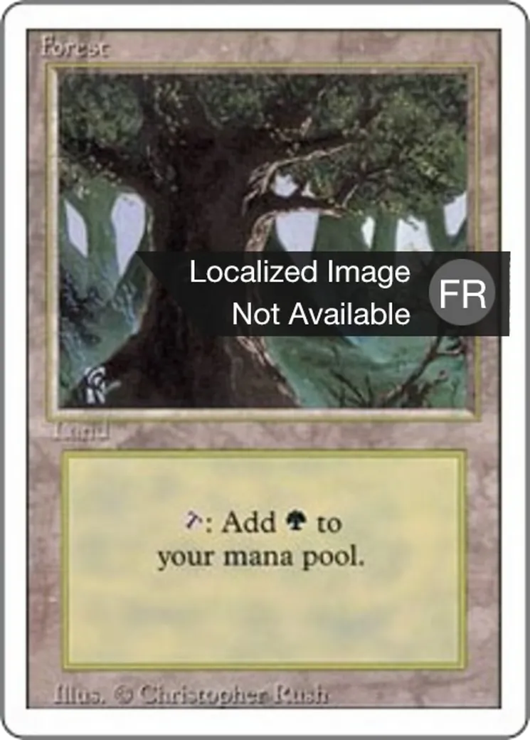 Forest — Foreign White Border — Magic: The Gathering