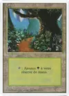 Product image for Forest