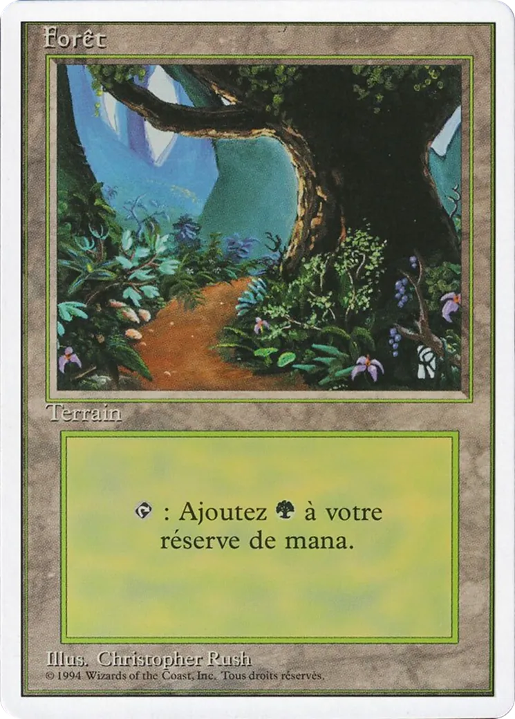 Forest — Foreign White Border — Magic: The Gathering