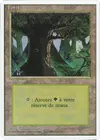 Product image for Forêt