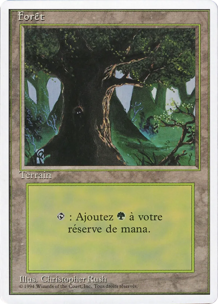 Forêt — Foreign White Border — Magic: The Gathering