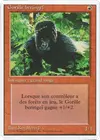 Product image for Kird Ape