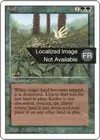 Product image for Kudzu