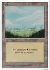 Product image for Plaine