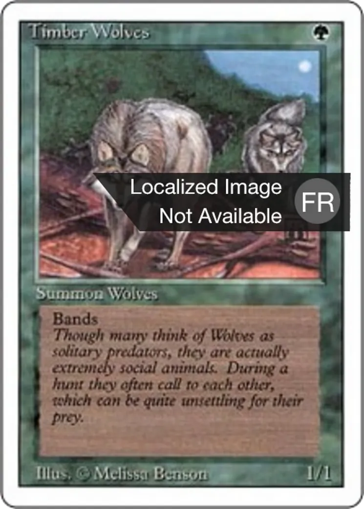 Timber Wolves from Foreign White Border - Magic: The Gathering