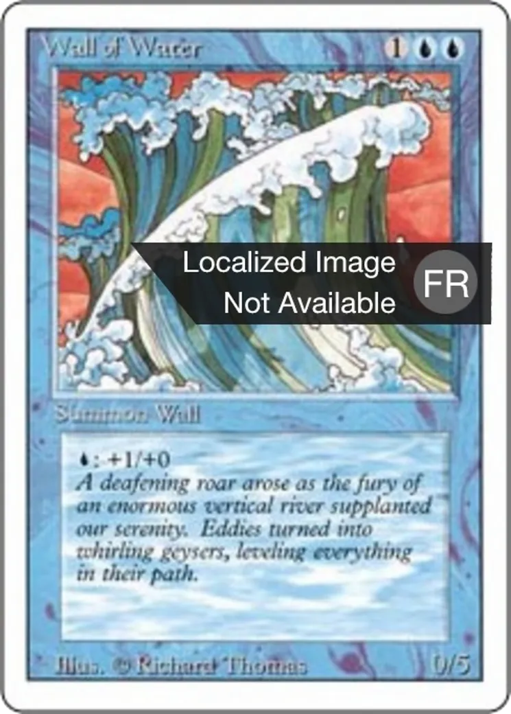 Mur d'eau — Foreign White Border — Magic: The Gathering