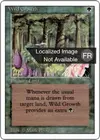 Product image for Wild Growth