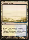 Product image for Flooded Strand
