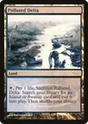 Product image for Polluted Delta