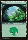 Product image for Forest