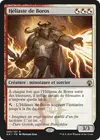 Product image for Héliaste de Boros