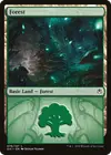 Product image for Forest