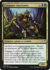 Product image for Carapace chavirante