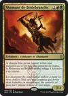 Product image for Shamane de Brûlebranche