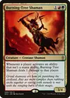 Product image for Burning-Tree Shaman