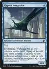 Product image for Raptor nuageoire