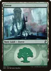 Product image for Forest