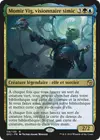 Product image for Momir Vig, visionnaire simic