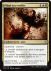 Product image for Pilori des éveillés