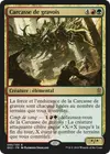 Product image for Carcasse de gravois