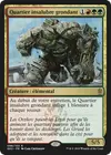Product image for Quartier insalubre grondant