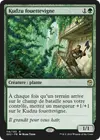 Product image for Kudzu fouettevigne