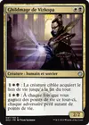 Product image for Ghildmage de Vizkopa