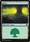 Product image for Forest