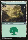 Product image for Forest