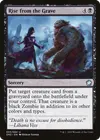 Product image for Rise from the Grave