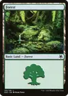 Product image for Forest
