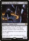 Product image for Priest of the Blood Rite