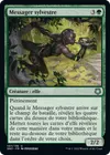 Product image for Messager sylvestre