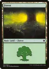 Product image for Forest