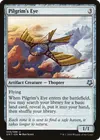 Product image for Pilgrim's Eye