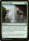 Product image for Seek the Wilds