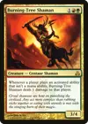 Product image for Burning-Tree Shaman