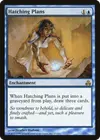 Product image for Hatching Plans