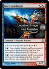 Product image for Ghildmage d'Izzet