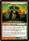 Product image for Wild Cantor