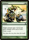 Product image for Wildsize
