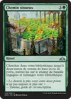 Product image for Chemin sinueux