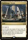 Product image for Guildmages' Forum